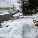 雪かき一時間、風呂とビールは三倍うまい～雪国・糸魚川の静かな戦い