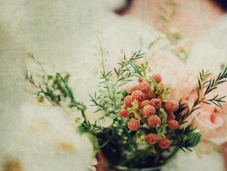 【狂ってる】去年、小姑がハワイで結婚式を挙げたんだけど、なんと未入籍だった事が発覚！しかも小姑の夫は・・・