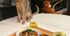 1人ごはんの豚こま茄子甘辛味炒め丼の夜ごはん
