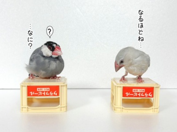 カエル病院へ行ってきた