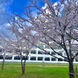 �ء�ī�Τ������������θ��ĻԤ��ޤ�Τ������ڤˤȤäƤϷäߤα���������¾���ͤΤ���˰�����̿��ĥ���Ƥ��������˴��ա��ä˰��Ÿ���˷Ȥ�����˿���괶�տ����夲�ޤ���🌷�٤β���