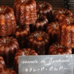 四つ葉のくまさんの癒しのお花、時々お料理日記