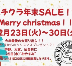 【明日から開催！！】ハチクラ年末セール！！