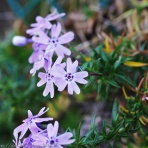 旅の空　-人生の第二章-