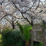車椅子の旅行と趣味の日記