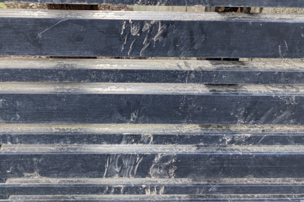 メダカが西向きゃ尾は東