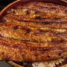 一鰻 （静岡県伊東市）