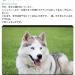 新！脱「愛国カルト」のススメ