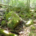 船山
