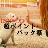 『超ポイントバック祭【2021年1月1日~3日】エントリー&クーポンまとめ』の画像