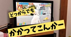 要するに犬やったらこうなるのね。