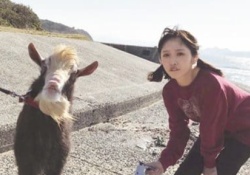 【乃木坂46】ヤギ飼ってる与田の他にペット飼ってるメンバーっておる？？？