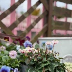 チップ・マリーへ ようこそ！