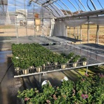 yuika～結花～Hanayoshiの毎日