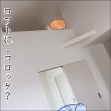 『ものすごく疲れてものすごく眠かった時のこと。』の画像