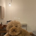 娘たちへ。生きることに迷った時に伝えたいこと