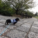 またアイツと遭遇