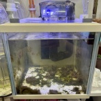 Beach Field　いいかげん日記帳Ⅲ