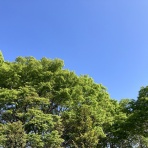 山遊び、川遊び−２