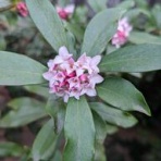 皆が見たい聴きたいエンタメぜーんぶまとめサイト