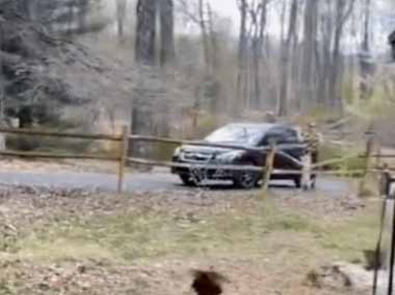 犬と一緒に暮らしているニワトリがいた。お母さんが帰ってきた！ → こうなります…