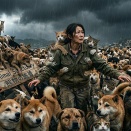 起業失敗パターン特集【第5回】順序の罠