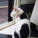 裏つるきち