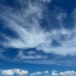 天晴鈍ぞ孤の日めくり令和