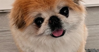心配