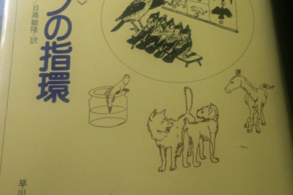 植物図鑑 ガーデンレコード 花の易しい育て方 文字に揺られて