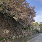 三重県よろずや