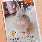 はじめてのうさぎ