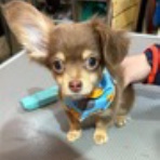 お客様のご紹介