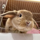 うーさんの日セール始まりました！！