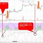 テクニカル東方不敗（仮）