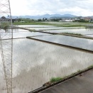 雨の白馬渓を散歩／雨上がりの田園地帯を散歩