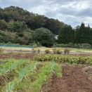 元気なお年寄り
