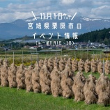 『11月1日～3日のイベント情報🍁』の画像