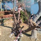 私達夫婦が真実のパートナーになるプロセス