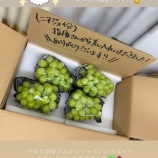 『[イコラブ] 毎年恒例の指原Pのシャインマスカットがメンバーに届いてるな【ノイミー、ニアジョイ】』の画像