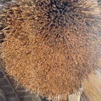 うるおいフルーティ再開