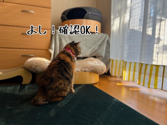 今でもいつまでも確認大事。