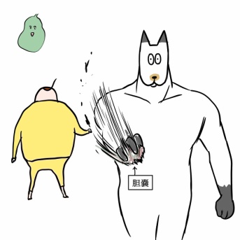 退院したし胆嚢取ったどー！