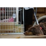 طΤŻΥ󥳡ߥ˥奢åեȡ٤β