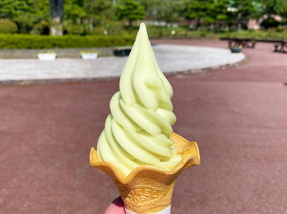 函館「市民の森売店」の期間限定シャインマスカットソフトクリーム！