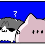 ぽぴぴとモフモフねこちゃんズの暮らし