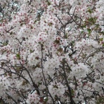 ホームステーション愛甲石田の窓から