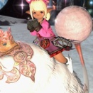 【FF14】凝り性プレイヤーはとことん追い求める？一流は“理想のマウント”探しにも妥協を許さない