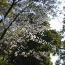 ラウラの森vol.20ありがとうございました