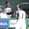 【悲報】斎藤佑樹さん、遂に栗山監督に見放される 	